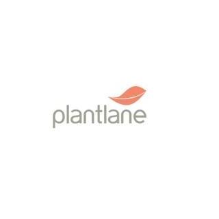 Plantlane Plantlane